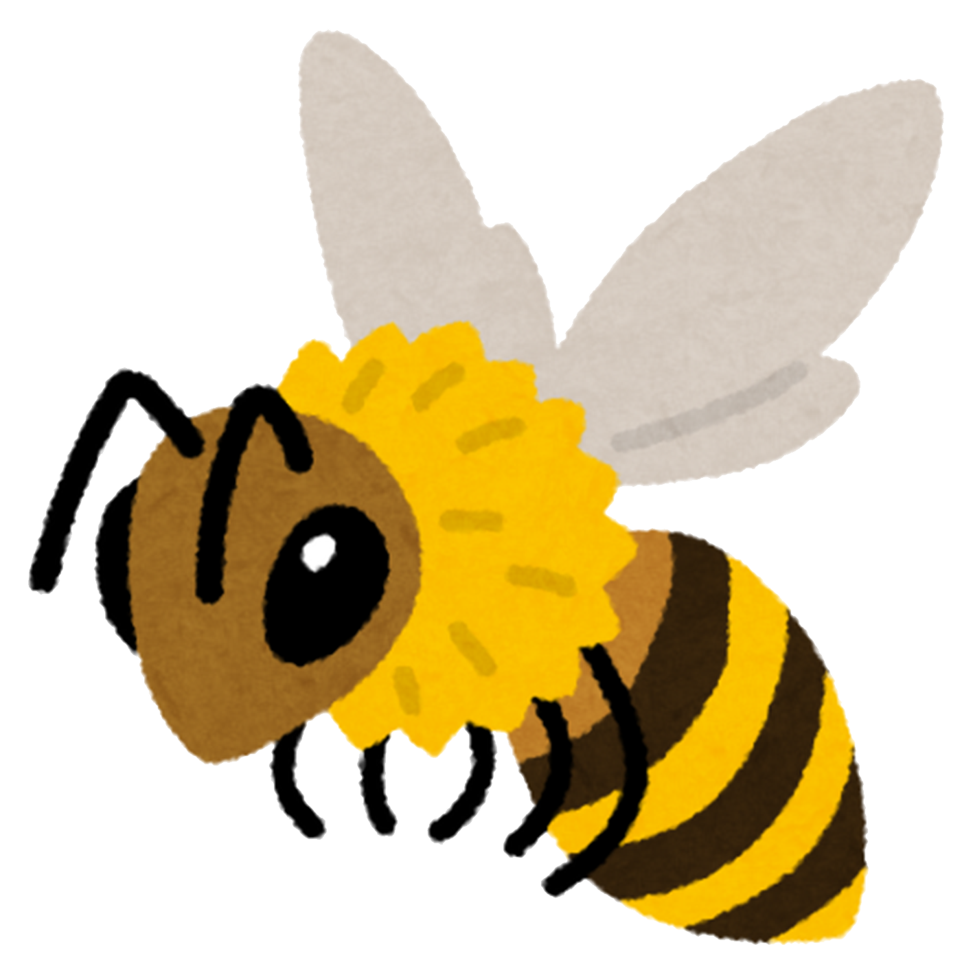 Hello Image
